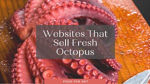 Buy Fresh Octopus Online From These 5 Websites | Food For Net