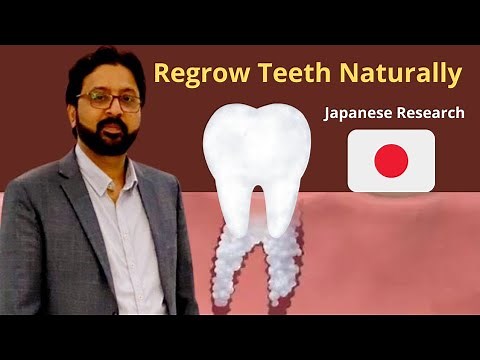 Regrowing Teeth Naturally: Breakthrough with a Single Japanese Medicine