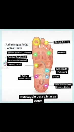 "Você sabia que seus pés são o mapa do seu corpo?"#dicas #vocesabia #reelsbrasill #explorar #foryou