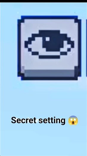 Secret Camera Setting in MCPE 😳
