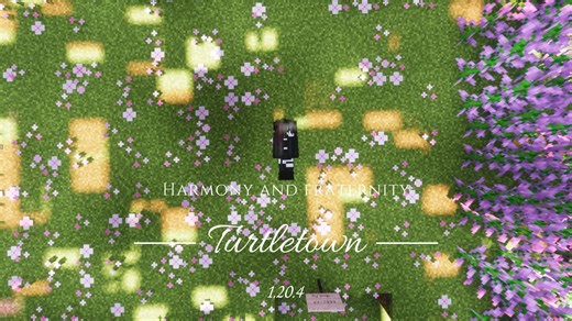 [我的世界] 海龟小镇TurtleTown - 多元化生存服务器 | 一周目纪念宣传片