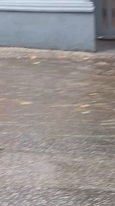 Falmouth suffered severe flooding this morning when Cornwall was battered by thunderstorms, as shown in this incredible video from Tina Legassick taken at Market Strand. The Met Office said Cornwall has been the worst hit so far. Read more about it here: https://trib.al/I9u8txM | Packet Newspapers