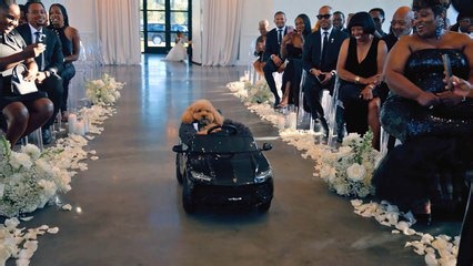 Bride and groom's dog steals the show when he comes down aisle in car as ring bearer | Wild-ish TV