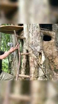 Solo Man Builds Hidden Survival Shelter Inside A Giant Tree In 72 Hours