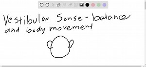 SOLVED:When does caloric testing indicate disease of the vestibular system of the ear? a. Hearing is improved with irrigation of the external ear canal b. No nystagmus is elicited with application of water in the external ear c. The patient experiences intolerable pain with irrigation of the external ear d. Irrigation of the external ear with water produces nystagmus opposite the side of instillation