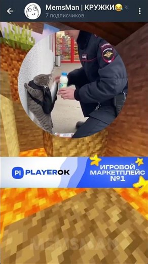 Гражданин кот😂😂😂 #youtube #мем #приколы #тикток #minecraft #a4