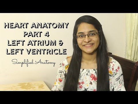 HEART | ANATOMY | PART 4 | SIMPLIFIED