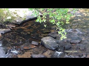 Then Came Jesus by the John Marshall Family
