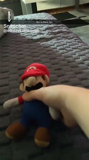 MARIO!!!!! #flys #mario #plushies #roblox #snapchat #ipad #sprunkihaters #sprunkisucks