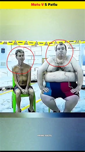 Fat vs Slim Body : Science Experiment That Gave Surprising Results