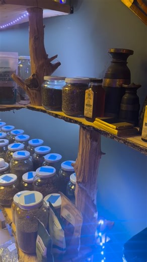 There is something incredibly powerful about learning how to listen to your own inner guidance system. In this session, her higher self made a very clear and specific request. Chamomile. Valerian root. Vanilla. The guidance wasn’t vague, and it wasn’t dramatic. It was precise and supportive. What I love about this work is that it teaches you how to access that same clarity for yourself. Energy Repatterning sessions aren’t about me imposing solutions or handing you something external to fix you. 