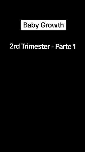 Baby Growth in the 2nd Trimester: Amazing Progress and Development