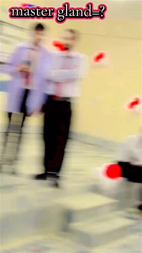 Understanding the Master Gland in the Endocrine System