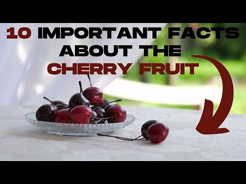 🔸10 Important Facts About the Cherry Fruit 🍒 Cherry Fruit Incredible Benefits🍒