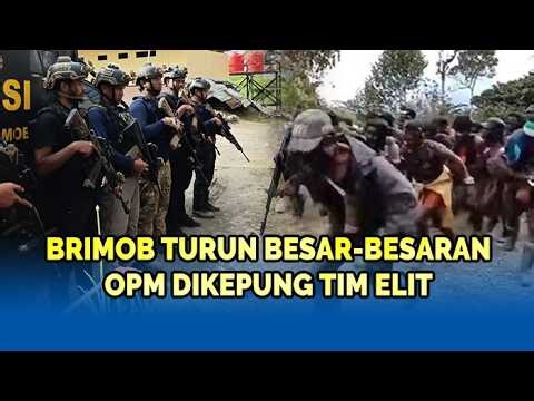 🔴Papua Tengah Memanas! Ratusan Brimob Diterjunkan, Perburuan OPM Dimulai