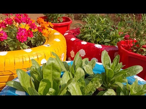 Masaledar Rasoi🌶️ is live!