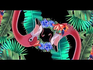 FREE VJ LOOPS (4K) / MOTION GRAPHIC / ANIMATION / VISUAL LOOPS / CINEMA 4D-KALEIDA TROPICAL LEAVES 1