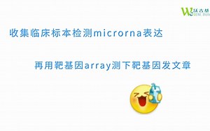 PCR Array是临床样品microRNA靶基因研究的yyds