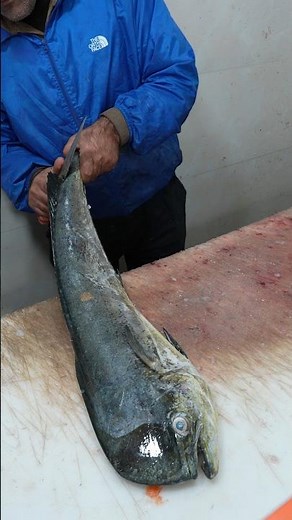 Easy mahi mahi Fillet & Skin Removal – No Mess, No Waste