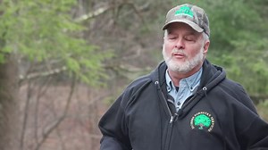 The Family Forest Carbon Program works with landowners to steward healthy, native ecosystems. When enrolling forests in FFCP, we provide guaranteed annual payments to assist in supporting healthy native woodlands. | American Forest Foundation | Facebook