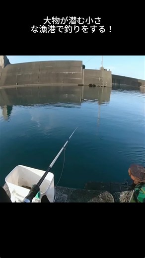 小さな漁港での釣り｜大物が潜む足場と攻略法