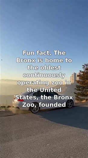 Discover the Bronx Zoo's Rich History