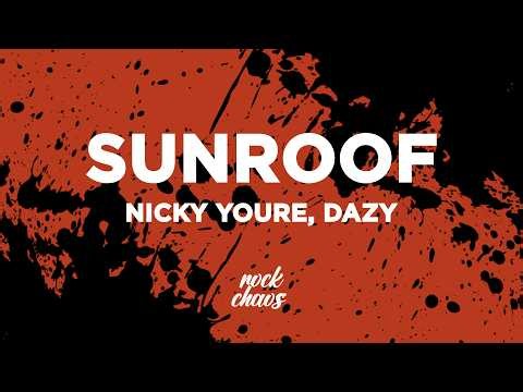 Nicky Youre, dazy - Sunroof (Lyrics)