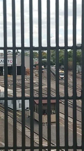 vline locity,N class ,steel roll coil hold by railfirst and P class #train #rail #vline