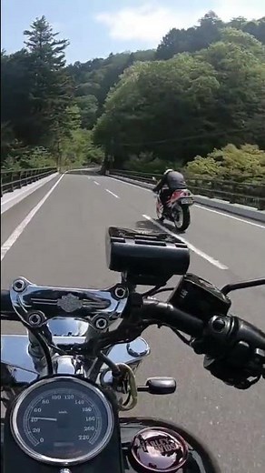 もの凄い勢いで抜き去って行く2stバイク【奥多摩周遊道路】#shorts