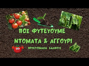 ΠΩΣ ΦΥΤΕΥΟΥΜΕ ΝΤΟΜΑΤΑ & ΑΓΓΟΥΡΙ - ΠΡΟΕΤΟΙΜΑΣΙΑ ΕΔΑΦΟΥΣ