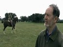 Spanish Jimeta Horsemanship