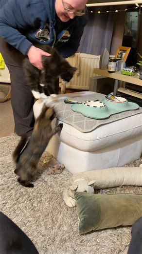 Fooooodsssss🐾🐾