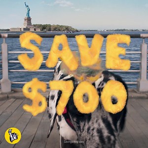 46K views · 1.2K reactions | Take a closer look at customized insurance. You could save $700. | Liberty Mutual Insurance | Facebook