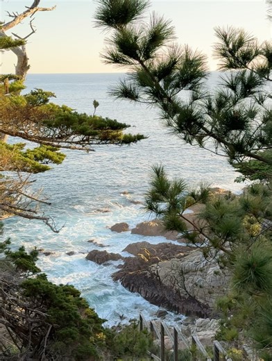 6.3K views · 23 reactions | Merrell Twins on Reels | Facebook