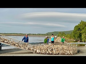 The scene of duck farmers migrating to find a new land