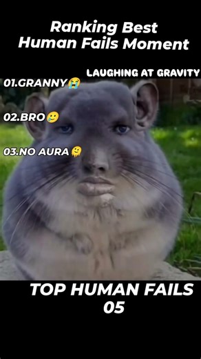 Funny human fails Moment/ Funny Humans/#shorts