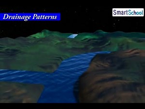 Drainage system ! Video Lecture - Class 12