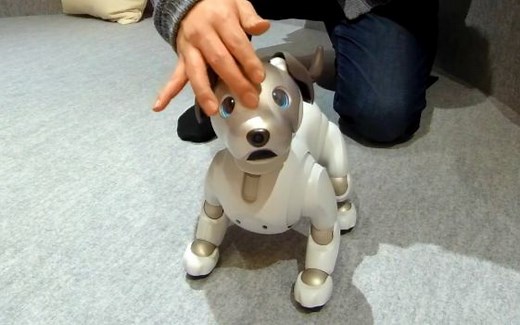 【索尼新一代机器狗AIBO】互动体验（日语生肉）【人工智能】