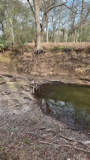 Searching for the White Bass Spawn at Somerville Lake