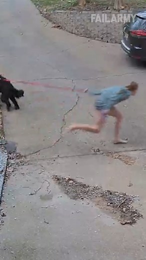 629K views · 4K reactions | Some days it's ok to not love your dog ‍了洛 | FailArmy | Facebook