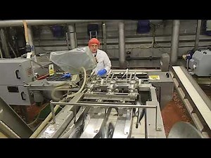 IB Food-Machines - Baader 35 fish processing line