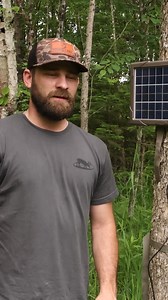 Deep in the cover, right where it matters. This CuddeLink camera is watching a creek crossing just off a bedding are - no cell service needed. It links back to the cell home and sends images straight to the app. We're setting it now with November intel on our mind. It's powered by the sun and shade solar panel so we don't have to step foot back in here until it matters. No pressure. No battery swaps. Just the intel we need. | Cuddeback Digital