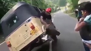 Auto Rickshaw Stunts: Video Shows Wheel Being Changed While Driving On A Highway