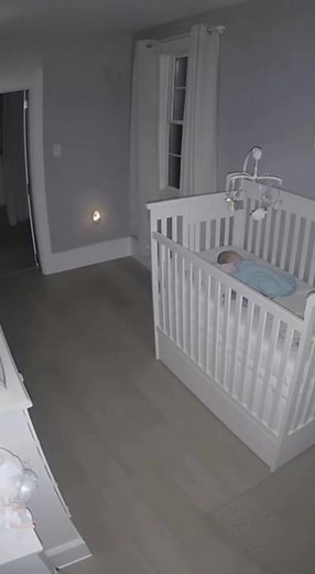 2.3K views | CAT saves Baby from Cheetah. #cat #catlovers #cheetahchallenge #cheetah | Charlie Foxx | Facebook