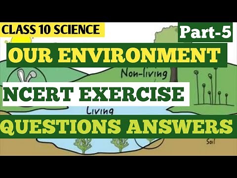 Full ncert exercise questions solutions chapter 13 our environment class 10 cbse Science 2023-24