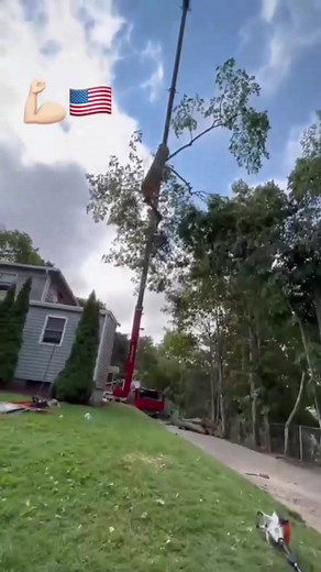 Crane jobs  #arb #arborist #treefelling #pinetree #logging #lumber #firewood #treeservice #treere | Tree Service | Facebook