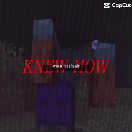 The broken script edit? #edit #thebrokenscript #minecraft