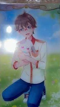 Pretty Cure All Stars Waffers Wave 11 Review Part 3