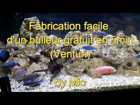 Bulleur Venturi gratuit pour aquarium