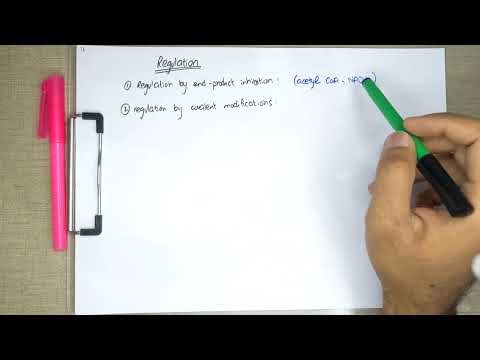 Pyruvate Dehydrogenase Complex | Carbohydrate Metabolism | Biochemistry Block 4